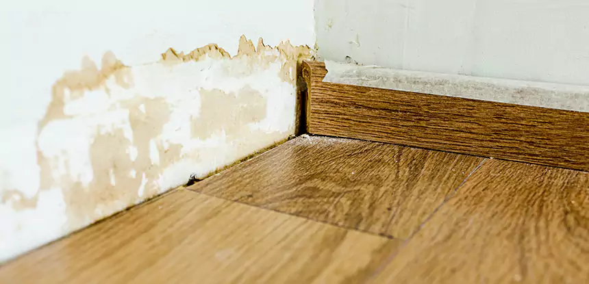 Professional Fix Water Damaged Wood Services in Baldwin City, KS
